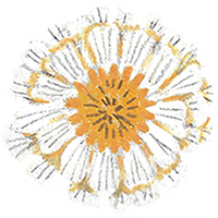 Widget icon